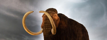 Science is close to resurrecting the mammoth.  The question now is whether it will have intellectual property