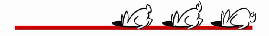Black and white cartoon rabbits going down holes in a red line