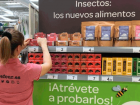 Where to buy to eat insects in Spain