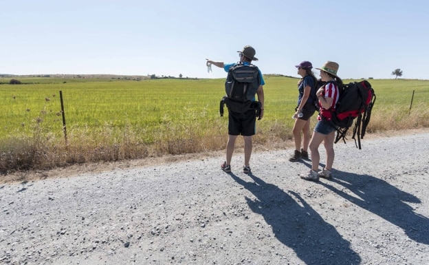 Pilgrims along the Vía de la Plata Way in the surroundings of Plasencia in a stock image 