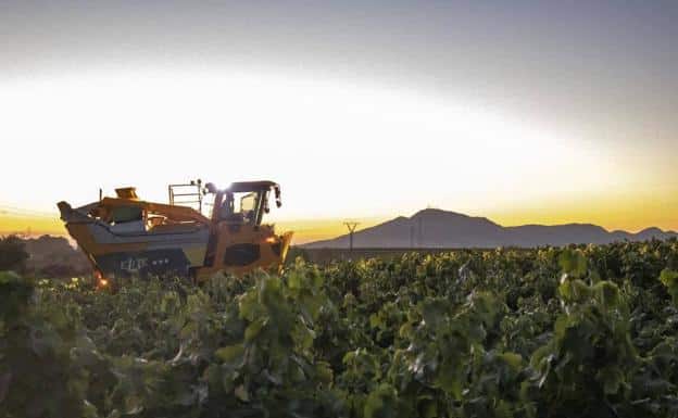 A harvester during the harvest at dawn in Arroyo de San Serván.