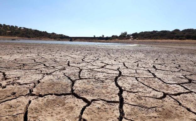 Effects of the drought three years ago on the Cornalvo dam.
