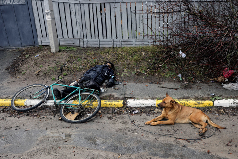 Image: A dog lays next to the body of a civilian, who according to residents was killed by Russian soldiers, in Bucha