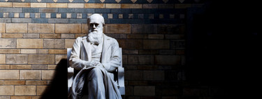 One day fear came and never left: Charles Darwin's fight against himself