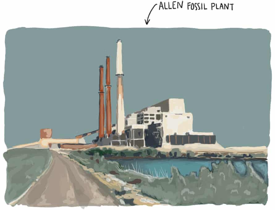 Illustration of the Allen fossil plant.