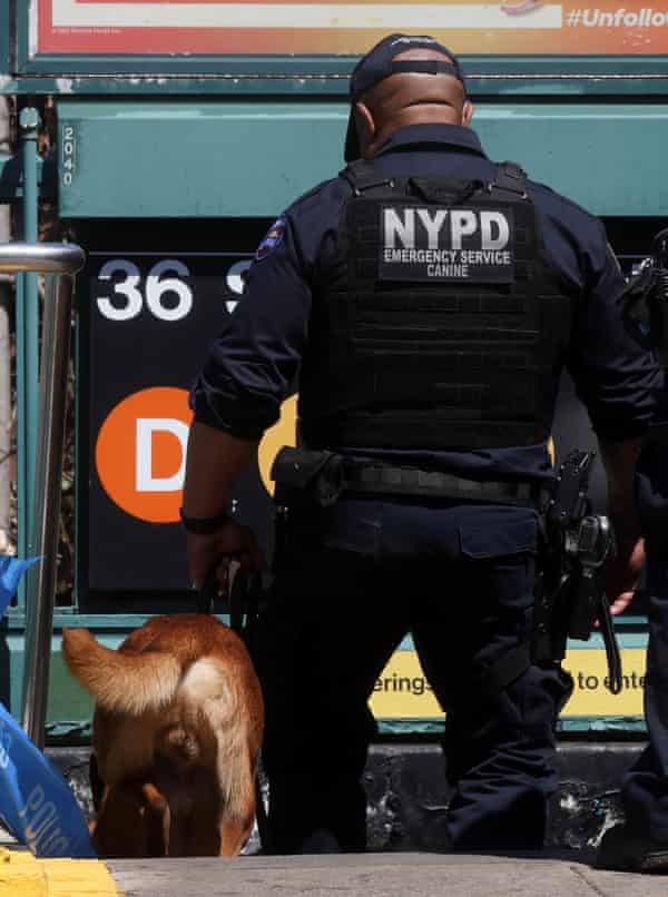 A police officer with a dog enters the subway station.