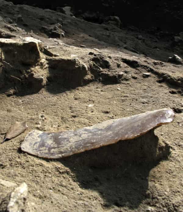 A long blade discovered in Grotte Mandrin cave in the Rhone Valley