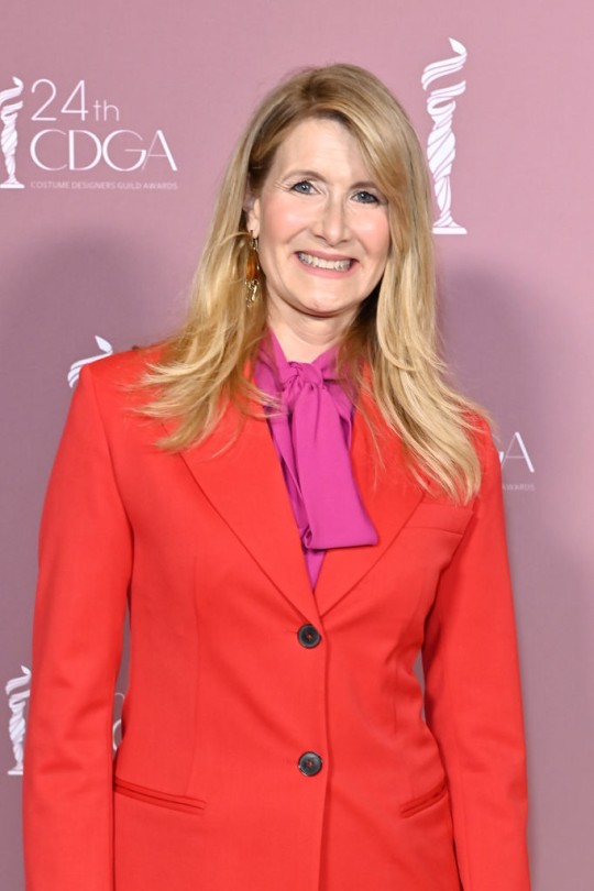 Laura Dern at the 24th Costume Designers Guild Awardsin 2022