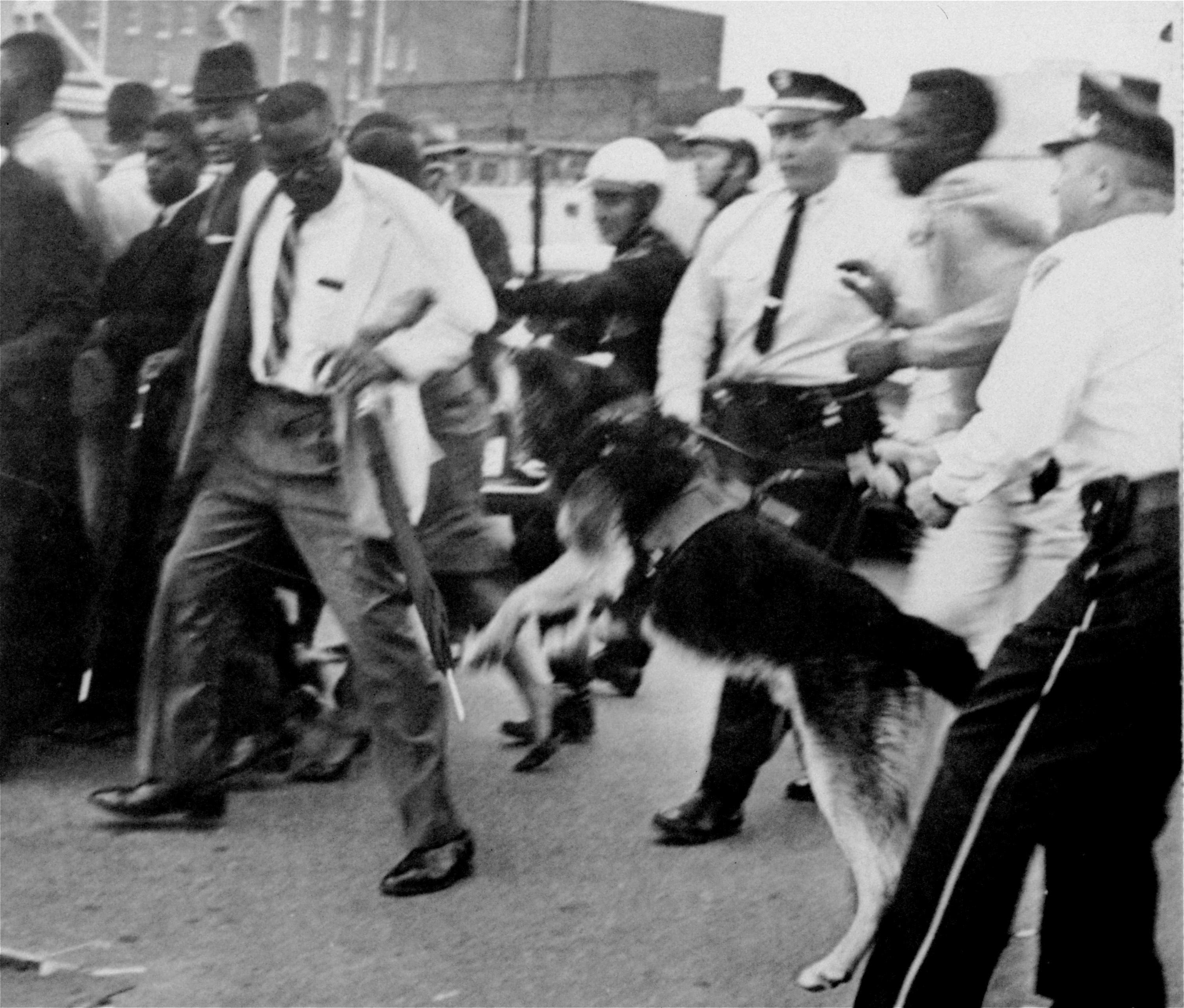 A policeman orders his dog to attack an African American who was too slow in obeying his order to move away from in front of the police court, shortly before nine African American college students went on trial for sitting in at a white city library, March 29, 1961, in Jackson, Miss.