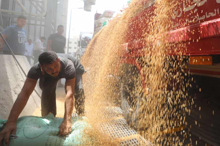 Workers unload wheat at the Banha grain silos, in Qalyubia Governorate, Egypt, in May 2022