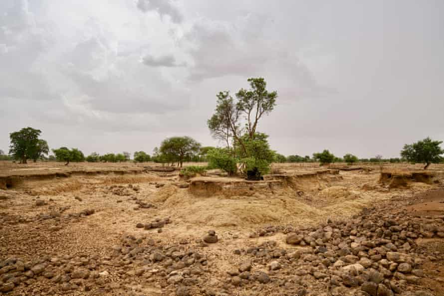 A dry riverbed near Kaya in northern Burkina Faso.